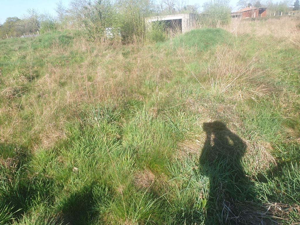 Maison indépendante ST JUNIEN (87200) HOLDING IMMOBILIER